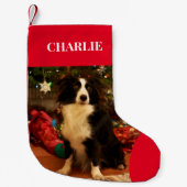 Petite Chaussette De Noël Pet Photo Holiday (Devant)