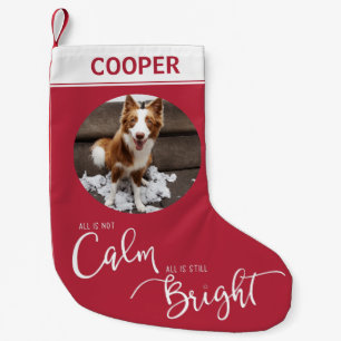 Petite Chaussette De Noël Photo d'animaux drôles Tout n'est pas calme 3 