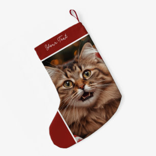 Petite Chaussette De Noël Photo de chat personnalisé & Nom