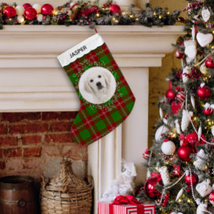 Petite Chaussette De Noël Photo de chien de compagnie avec tartan rouge et v