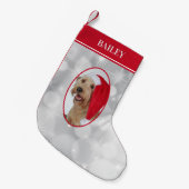 Petite Chaussette De Noël Photo de chien Noël (Devant (Accrochage))