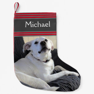 Petite Chaussette De Noël Photo de Funny Dog Talking Red Striped