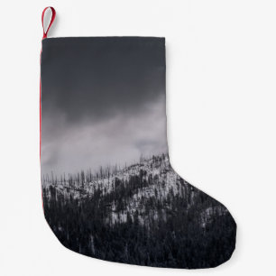 PETITE CHAUSSETTE DE NOËL PHOTO DE L'ARBRE À L'ÉCHELLE GRAPHIQUE