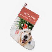 Petite Chaussette De Noël Photo de Noël de chien moderne (Devant (Accrochage))