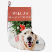 Petite Chaussette De Noël Photo de Noël de chien moderne (Devant)