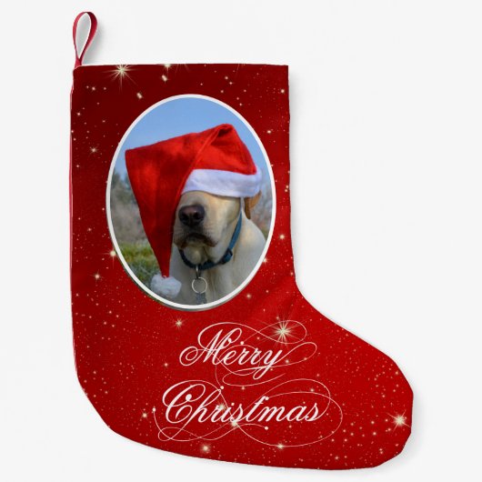 Petite Chaussette De Noël Photo Dog (Devant)