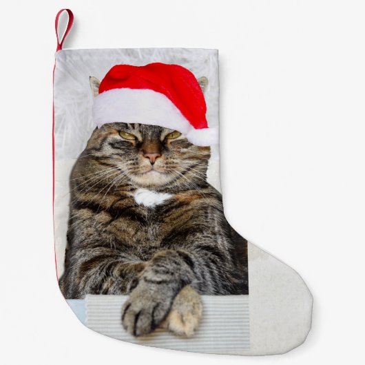 Petite Chaussette De Noël Photo du chat de Noël Humbug (Devant)