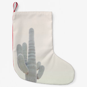PETITE CHAUSSETTE DE NOËL PHOTO DU PLANTE GRAY CACTUS