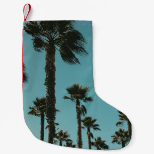 Petite Chaussette De Noël Photo en angle bas des arbres le matin