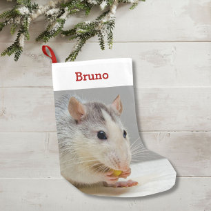 Petite Chaussette De Noël Photo et nom d'amant de rat d'animal familier