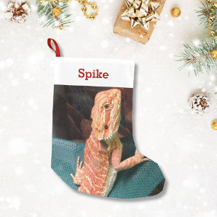 Petite Chaussette De Noël Photo et nom d'animal familier d'amant de lézard