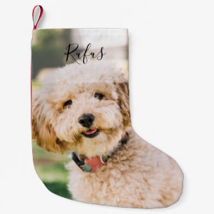 Petite Chaussette De Noël Photo et nom de chien de compagnie pour les fêtes