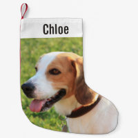 Photo et nom du chien Beagle personnalisé