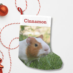 Petite Chaussette De Noël Photo et nom personnalisé de l'animal de compagni