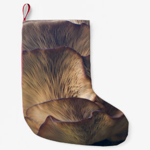 Petite Chaussette De Noël Photo focale sélective du champignon