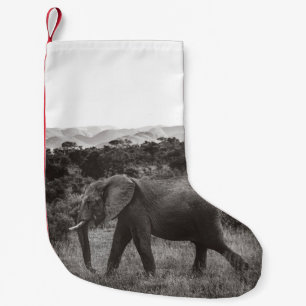 PETITE CHAUSSETTE DE NOËL PHOTO GRAYSCALE DE L'ÉLÉPHANT GRIS PRÈS DES ARBRES