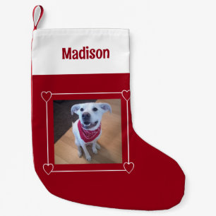 Petite Chaussette De Noël Photo mignonne de chien souriant rouge et blanc Aj