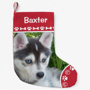 Petite Chaussette De Noël Photo personnalisé de chien avec monogramme et nom