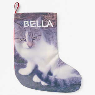 Petite Chaussette De Noël Photo personnalisée pour chat ou chien de compagni