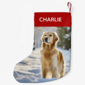 Petite Chaussette De Noël Photo pour animaux de Noël moderne (Dos)