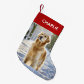 Petite Chaussette De Noël Photo pour animaux de Noël moderne (Devant (Accrochage))