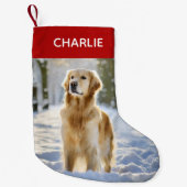 Petite Chaussette De Noël Photo pour animaux de Noël moderne (Devant)