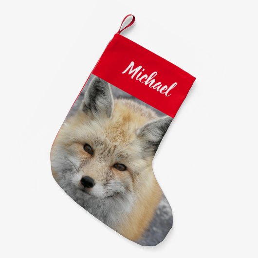Petite Chaussette De Noël Photo Red Fox mignonne avec nom (Devant (Accrochage))