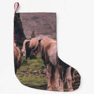 PETITE CHAUSSETTE DE NOËL PHOTOGRAPHIE DES CHEVAUX À FAIBLE INFLUENCE