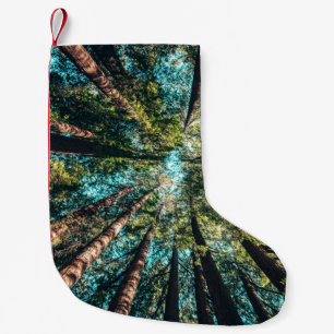 Petite Chaussette De Noël Photographie en angle bas des arbres en journée