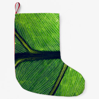 Petite Chaussette De Noël Photographie macro de la feuille verte