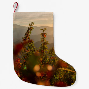 PETITE CHAUSSETTE DE NOËL PHOTOGRAPHIE NATURELLE DES ARBRES VERTS SURPLOMBAN