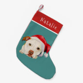 Petite Chaussette De Noël Pitbull Terrier mignon de chien de Père Noël (Devant (Accrochage))