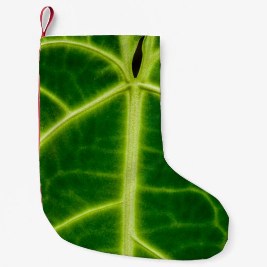 Petite Chaussette De Noël Plante à feuilles vertes (Devant)