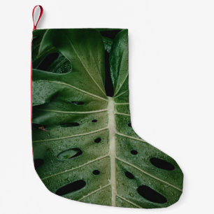 Petite Chaussette De Noël Plante de feuille verte