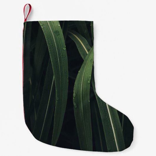 PETITE CHAUSSETTE DE NOËL PLANTE VERT (Devant)