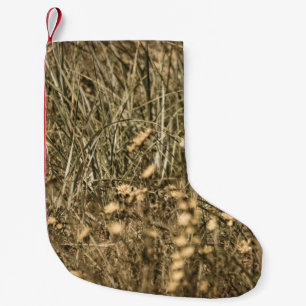 Petite Chaussette De Noël plantes secs irréguliers sur la plage recouverte d