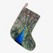 Petite Chaussette De Noël Plein plumage de paon bleu (Devant (Accrochage))
