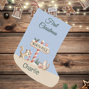 Petite Chaussette De Noël Pôle Nord Hiver Mignons Chats Premier Noël
