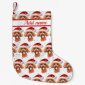 Petite Chaussette De Noël Poodle Dog Breed Christmas Stars (Devant)