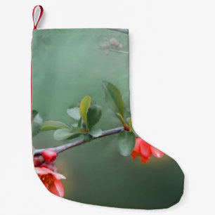 Petite Chaussette De Noël Printemps des fleurs florales