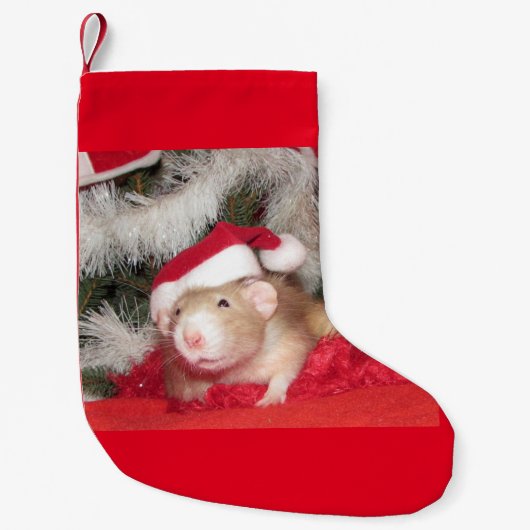 Petite Chaussette De Noël Rat d'animal familier, bouleau, bas de Noël (Devant)