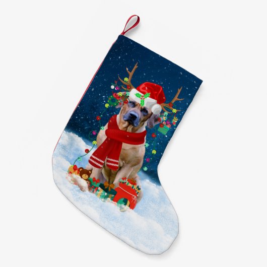 Petite Chaussette De Noël Rhodesian Ridgeback chien avec cadeaux de Noël (Devant (Accrochage))