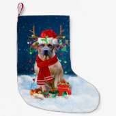Petite Chaussette De Noël Rhodesian Ridgeback chien avec cadeaux de Noël (Devant)