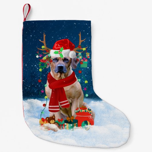 Petite Chaussette De Noël Rhodesian Ridgeback chien avec cadeaux de Noël (Devant)