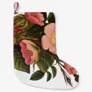 Petite Chaussette De Noël Roses Anciennes Jolies Roses Botaniques Roses