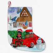 Petite Chaussette De Noël Rottweiler Chien en livraison Noël Camion Neige (Devant)