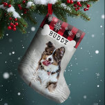 Petite Chaussette De Noël Rouge Pin Rustique Paid Chien Bone Pet Photo<br><div class="desc">Ferme rustique arbres de Noël frais animaux de compagnie photo bas de Noël. Le stockage peut être customisé avec le nom de l'animal et la photo. Arrière - plan en damier rouge avec pins rustiques et flocons de neige. Le nom de l'animal est affiché sur un os de chien blanc....</div>