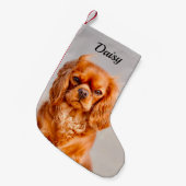 Petite Chaussette De Noël Ruby Cavalier King Charles Spaniel Chien (Devant (Accrochage))
