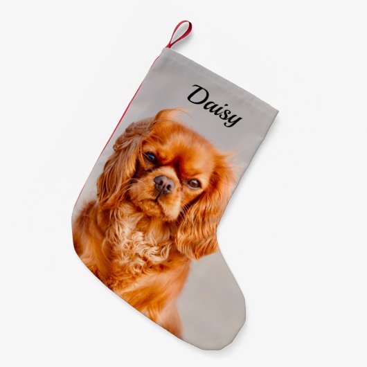 Petite Chaussette De Noël Ruby Cavalier King Charles Spaniel Chien (Devant (Accrochage))