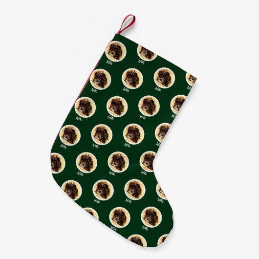 Petite Chaussette De Noël Schnoodle Chien vert Noël Stocking (Devant (Accrochage))